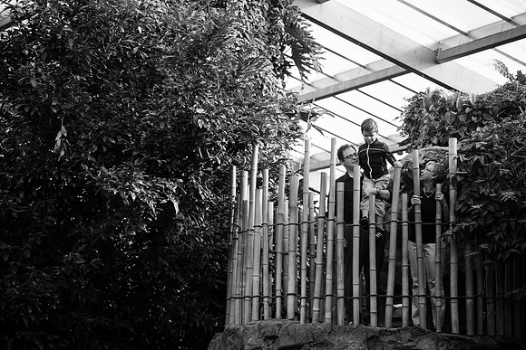Zoo 2017-290