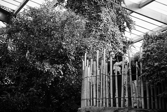 Zoo 2017-293