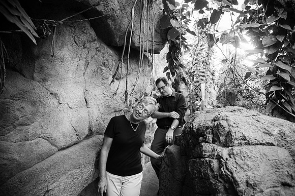 Zoo 2017-297