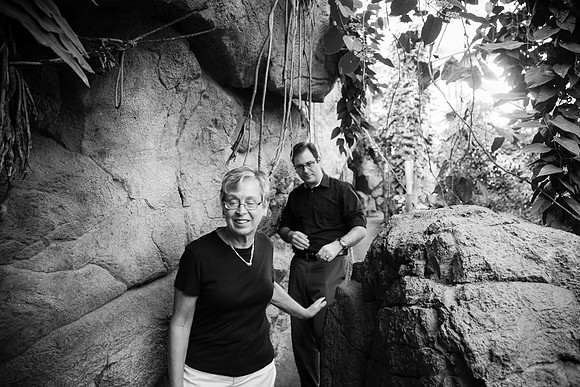 Zoo 2017-298