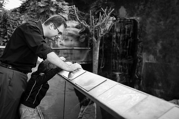 Zoo 2017-304