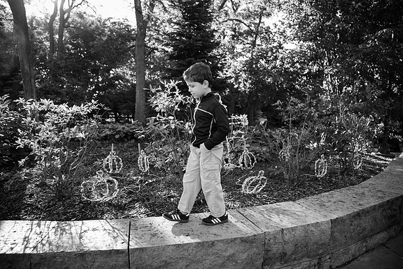 Zoo 2017-309