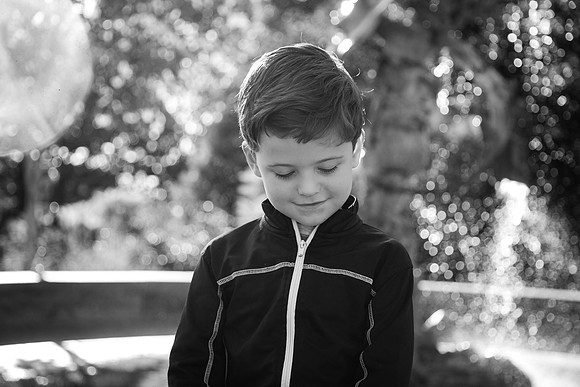 Zoo 2017-311