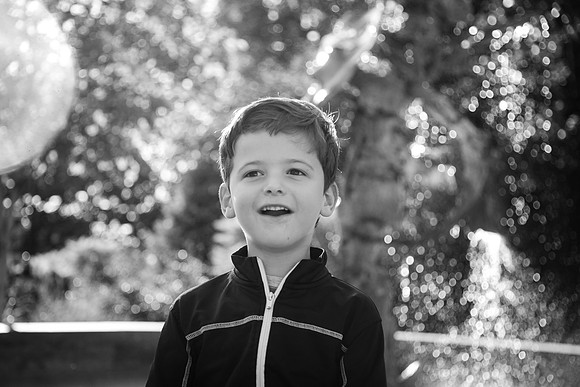 Zoo 2017-312