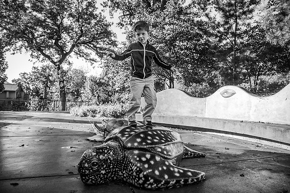 Zoo 2017-313