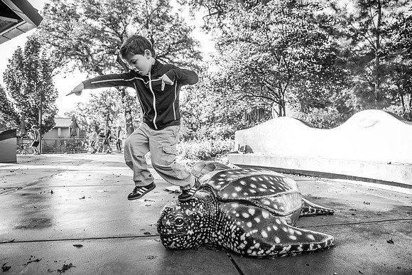 Zoo 2017-314