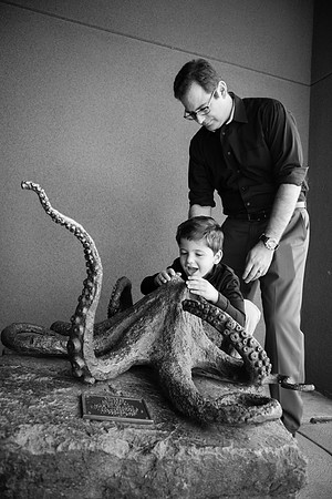 Zoo 2017-316
