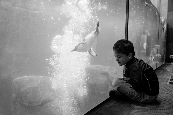 Zoo 2017-324