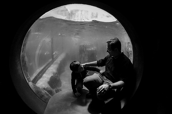 Zoo 2017-327