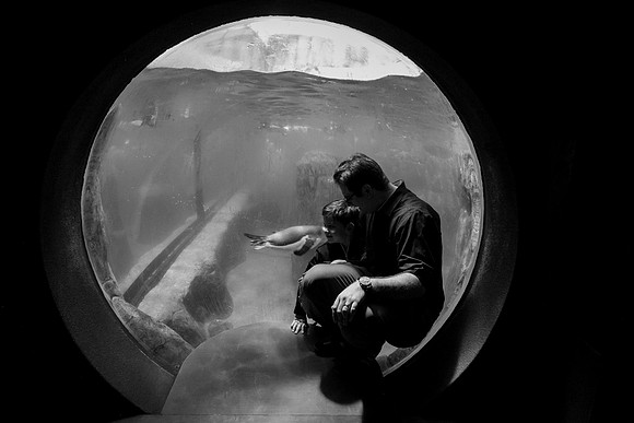 Zoo 2017-328