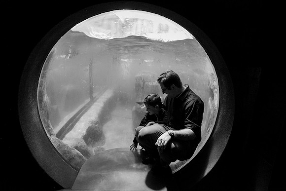 Zoo 2017-329