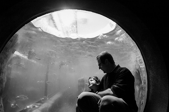 Zoo 2017-330