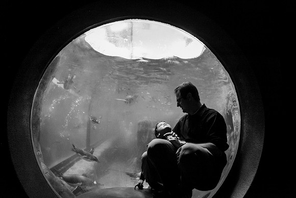 Zoo 2017-333