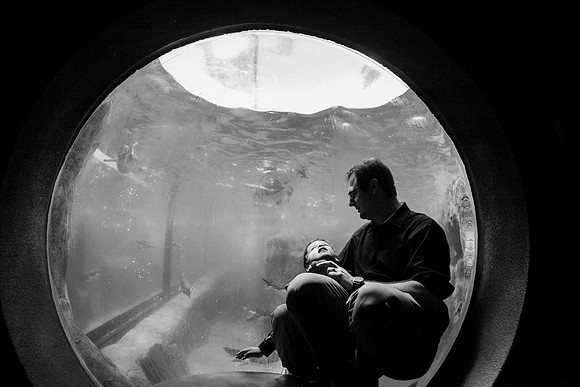 Zoo 2017-334