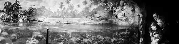 Zoo 2017-338