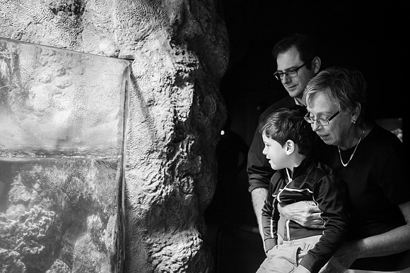 Zoo 2017-339