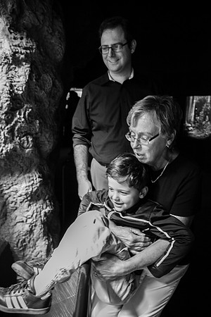 Zoo 2017-340