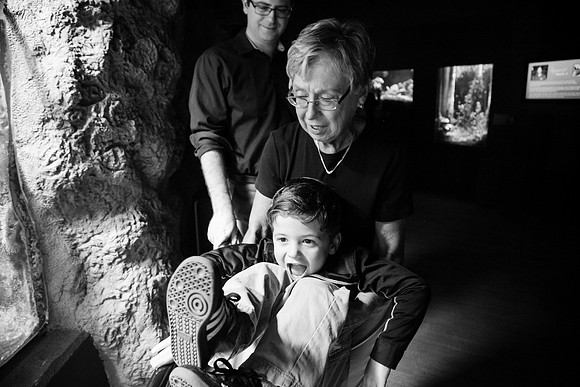 Zoo 2017-342