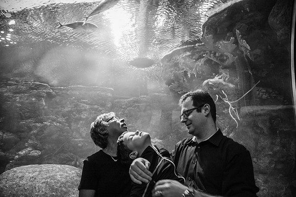 Zoo 2017-345