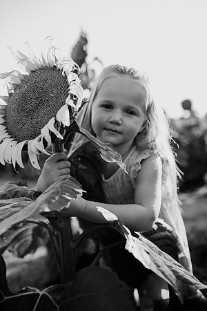 xSunflower 2022-77