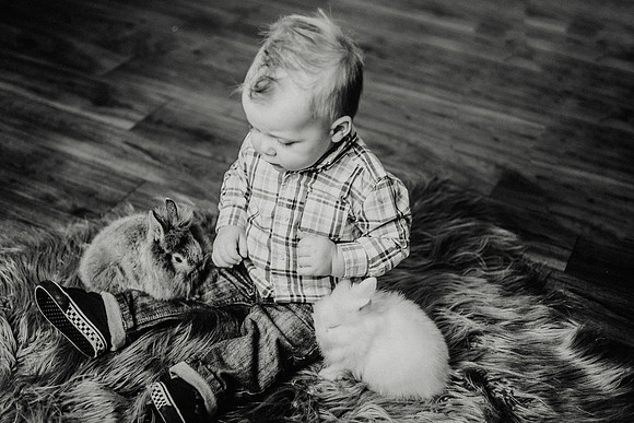 Oliver Bunnies-71
