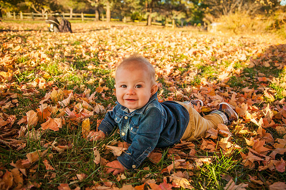Levi 6mth-59