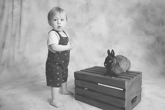 Toby-Bunny-2016-53