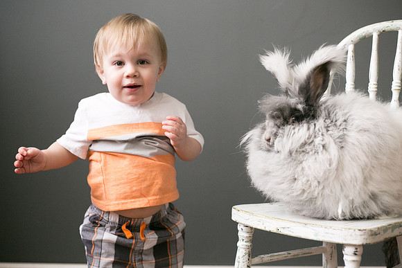 Toby-Bunny-2016-28