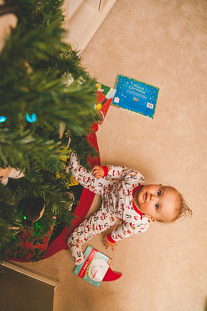 Xmas Tree 2017 (10 of 69)