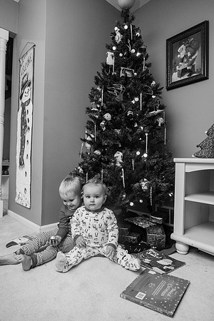 Xmas Tree 2017 (11 of 69)-2