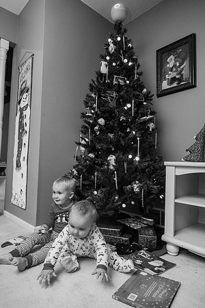 Xmas Tree 2017 (12 of 69)-2