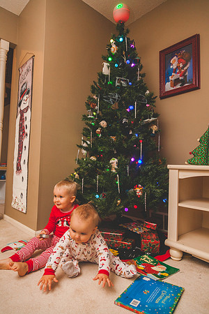 Xmas Tree 2017 (12 of 69)