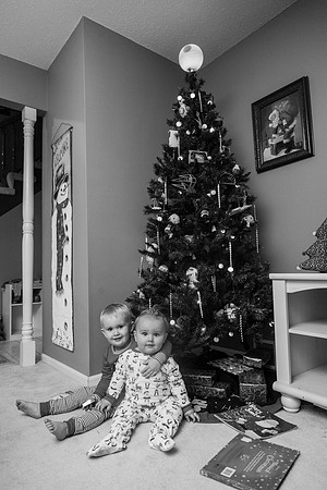 Xmas Tree 2017 (13 of 69)-2