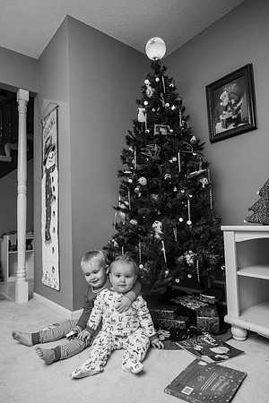 Xmas Tree 2017 (14 of 69)-2