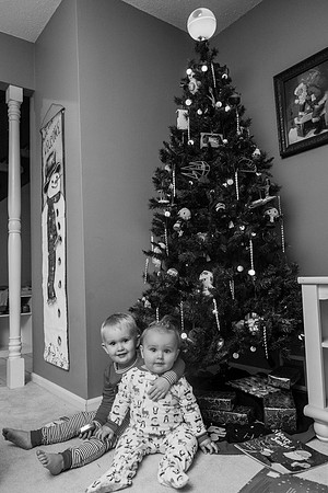 Xmas Tree 2017 (15 of 69)-2