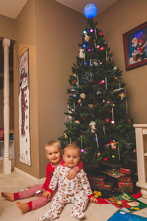 Xmas Tree 2017 (15 of 69)