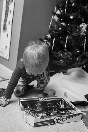 Xmas Tree 2017 (20 of 69)-2