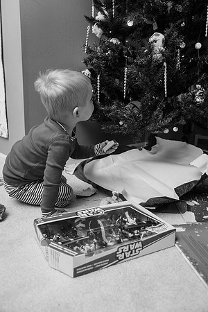 Xmas Tree 2017 (21 of 69)-2