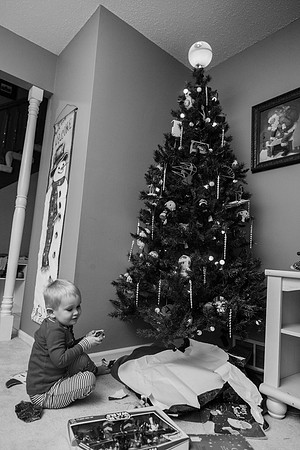 Xmas Tree 2017 (22 of 69)-2
