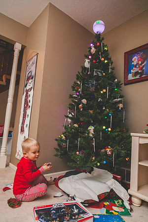 Xmas Tree 2017 (22 of 69)