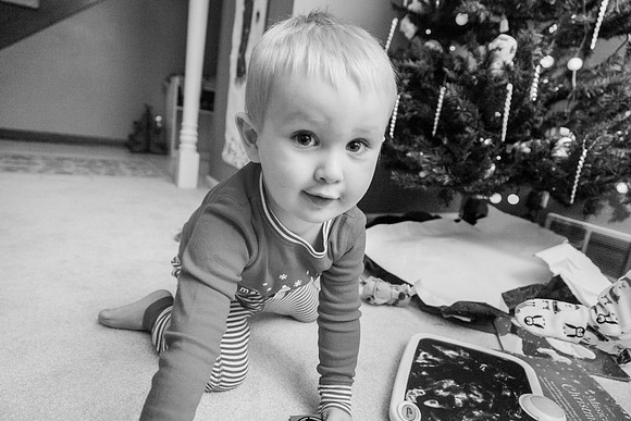Xmas Tree 2017 (24 of 69)-2