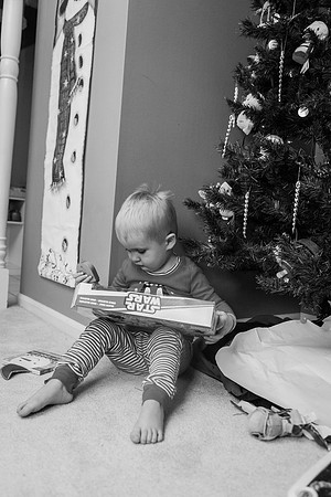Xmas Tree 2017 (29 of 69)-2