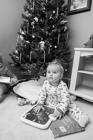 Xmas Tree 2017 (30 of 69)-2