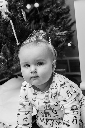 Xmas Tree 2017 (31 of 69)-2