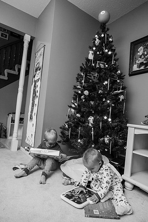 Xmas Tree 2017 (33 of 69)-2