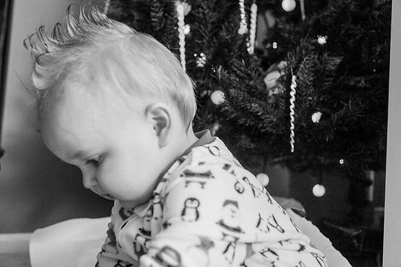 Xmas Tree 2017 (34 of 69)-2