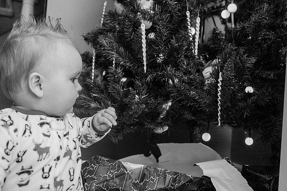 Xmas Tree 2017 (37 of 69)-2