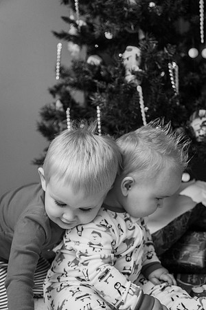 Xmas Tree 2017 (40 of 69)-2