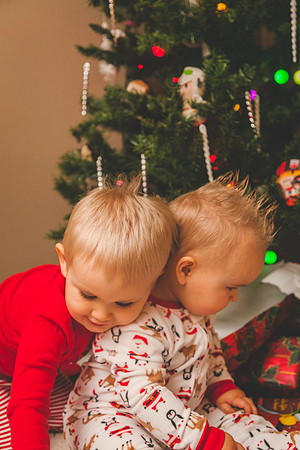 Xmas Tree 2017 (40 of 69)