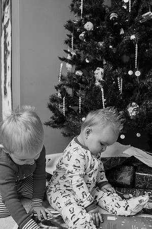 Xmas Tree 2017 (41 of 69)-2